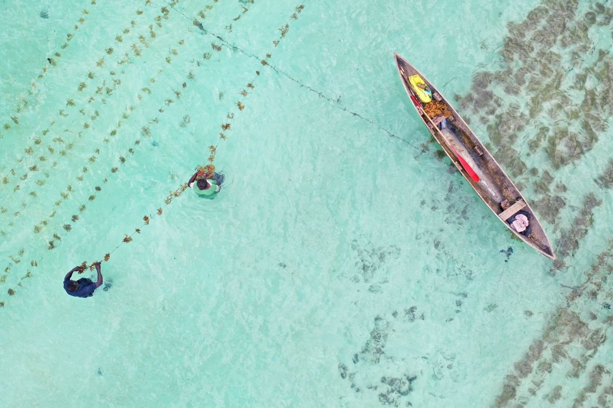 Small Island Developing States (SIDS) Ireland this is Ireland